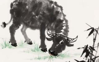 老牛骑马倒着走是什么生肖？老牛骑马倒走正确答案