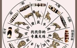 天庭指的是什么生肖？天庭有哪几个生肖