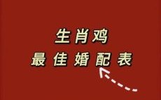 鸡前面是什么生肖？鸡和谁是天生一对