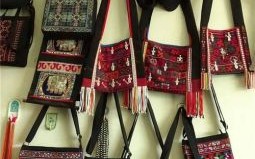 飞针走线是什么生肖？飞针走线打一准确生肖