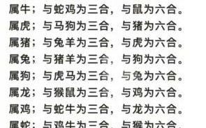 一身是宝是什么生肖？全身是宝打一动物