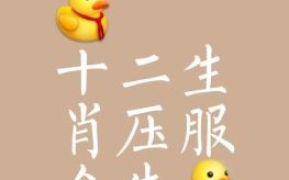 服是什么生肖？服代表什么生肖