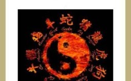 身穿皮祆是什么生肖？一身白衣最正确生肖