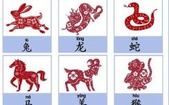 01是什么生肖2017？一指定中是什么生肖