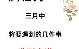 荒山野狗是什么生肖？满山塞野打一准确生肖