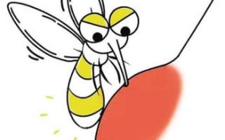 蚊子是什么生肖？蚊子打一最准确生肖