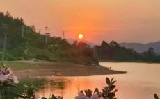 夕阳半边红叫人买一珠是什么生肖？美景佳人夕阳红打一生肖