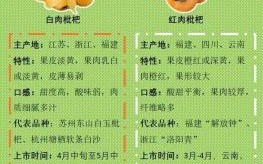 枇杷一树金是什么生肖？枇杷一树金正确答案