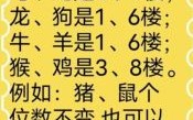 二四是什么生肖数字？忘最佳2个数字