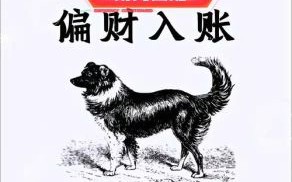 斤斤计较鸡狗斗是什么生肖？斤斤计较最正确动物