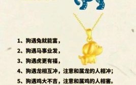 母亲是什么生肖？母亲节打一准确生肖