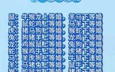 劝婚师是什么生肖？新郎官打一正确生肖