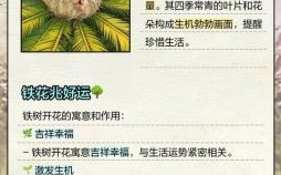 铁树开花是什么生肖？铁树开花打一准确动物