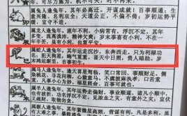 不是人 是什么生肖？不像人的生肖打一生肖