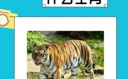 霸是什么生肖？霸字打一正确生肖