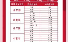 2026年生肖狗运程详解：属狗人如何把握流年机遇化解挑战？关键注意事项有哪些？