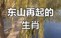 东山在起是什么生肖？东山再起打一准确动物