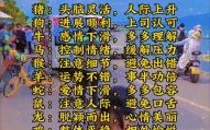 六月是是什么生肖？6代表什么生肖