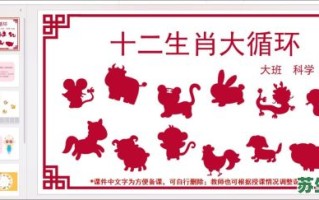 婴儿生肖是什么生肖？宝宝猜一生肖