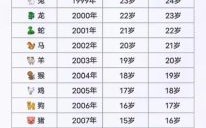 抹是什么生肖？98是属什么生肖