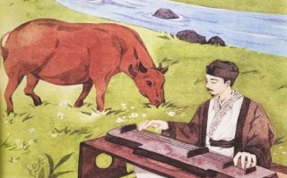 对牛弹琴是什么生肖？对牛弹琴打一正确动物