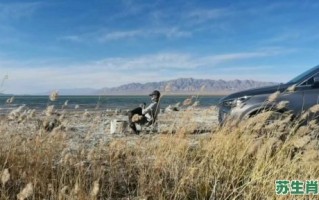 风餐露宿是什么生肖？风餐露宿最正确生肖