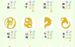 2016年属相是什么生肖？2016年出生的孩子属什么的