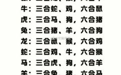 笔肖是什么生肖？笔肖有哪几个