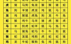 擒盗捉贼是什么生肖？擒盗捉贼最准确的生肖