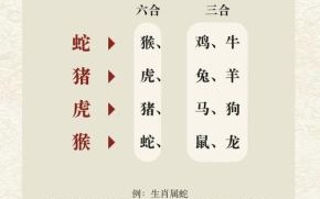 薨是什么生肖？坊指什么生肖