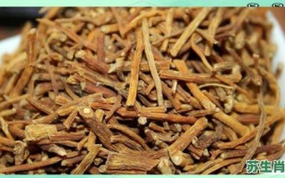 中药是什么生肖？中药打一最准确生肖