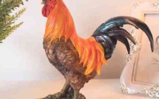 欧是什么生肖？欧打一个准确生肖