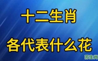 半夜唧门是什么生肖？半夜敲门打一个生肖