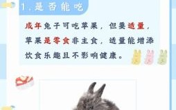 会吃水果的是什么生肖？会吃水果的动物指什么生肖