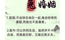 兵在精而不在多是什么生肖？兵在精不在多最佳生肖