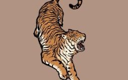 二虎是什么生肖？九营不难住二虎是什么生肖