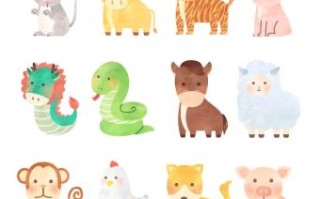 居无定所是什么生肖？十二生肖居无定所的动物