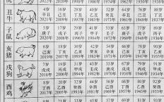 21生肖是什么？二十一岁属什么生肖