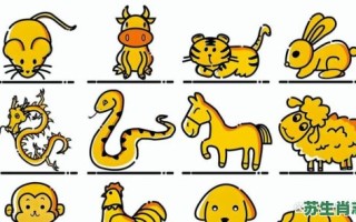 一笔一划是什么生肖？一笔一划最正确生肖