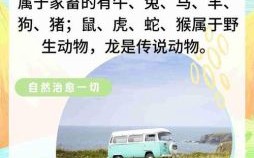 是鸡变的是什么生肖？鸡和羊的属相合吗