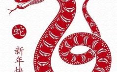 蛇是什么生肖？蛇打一个正确生肖