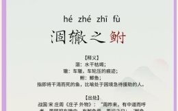 涸辙之鲋是什么生肖？受尊敬的动物是什么生肖?