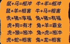 花红柳绿不夜天是什么生肖？花红柳绿不夜天最佳答案