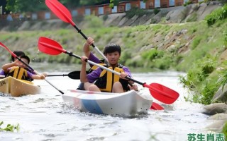 逆水行舟是什么生肖？逆水行舟打一最佳动物