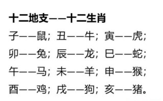 申是什么生肖？十二生肖谁是申