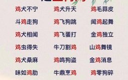 鸡犬飞升是什么生肖？鸡犬升天打一准确生肖