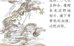 野地双打是什么生肖？龙战于野打什么生肖