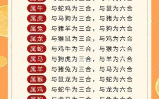 合九是什么生肖？单数合九打一最佳动物
