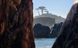 悬崖勒马是什么生肖？悬崖勒马打一最佳生肖