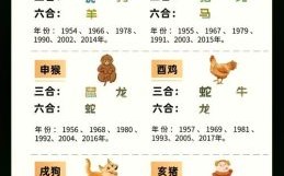 三爪是什么生肖？三爪打一准确生肖